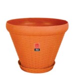 Juhi Planter